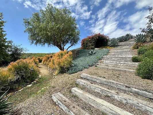 WESTSIDE LOCATIONS 251