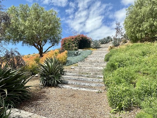 WESTSIDE LOCATIONS 250