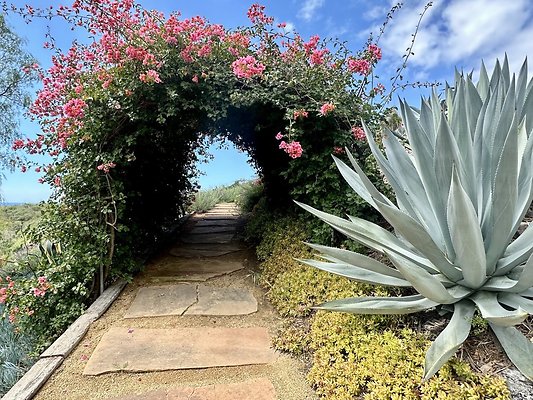 WESTSIDE LOCATIONS 256