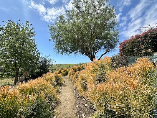 WESTSIDE LOCATIONS 252