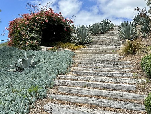 WESTSIDE LOCATIONS 255