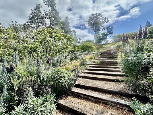 WESTSIDE LOCATIONS 239