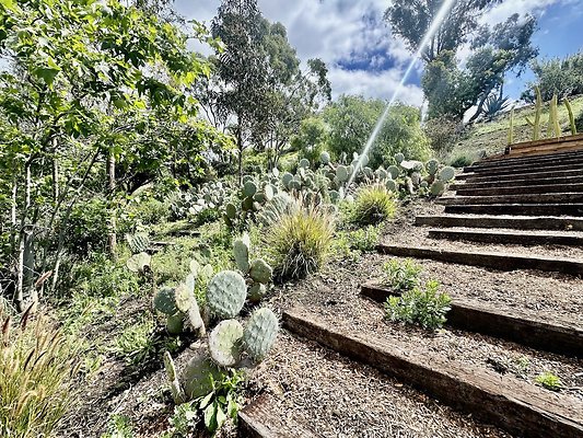 WESTSIDE LOCATIONS 240