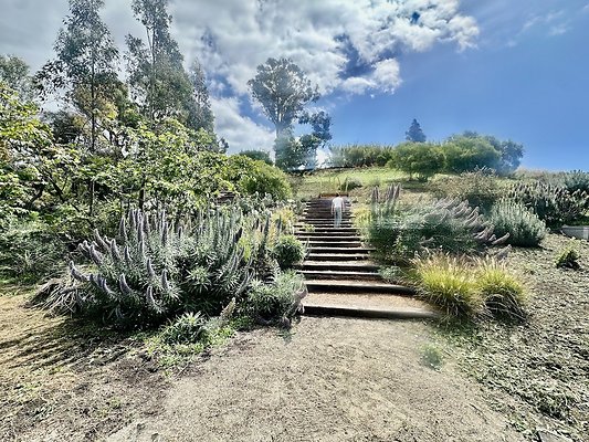 WESTSIDE LOCATIONS 238