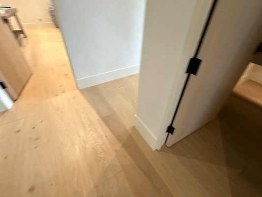 IMG 3552