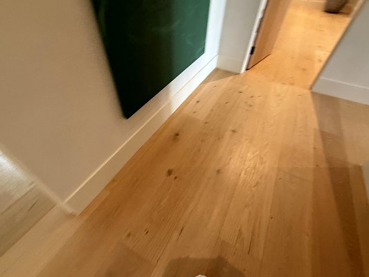IMG 3550