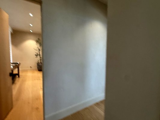 IMG 3554