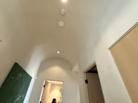 IMG 3545