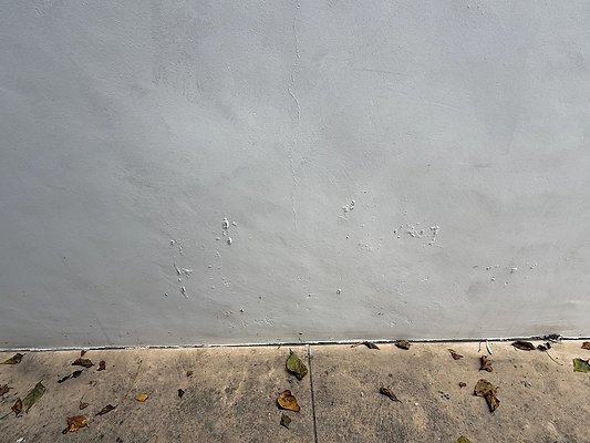 IMG 3320