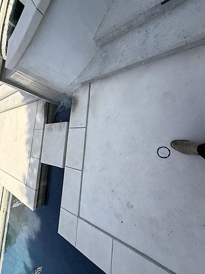 IMG 4563