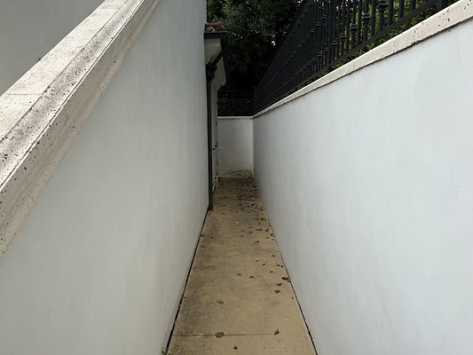 IMG 3309