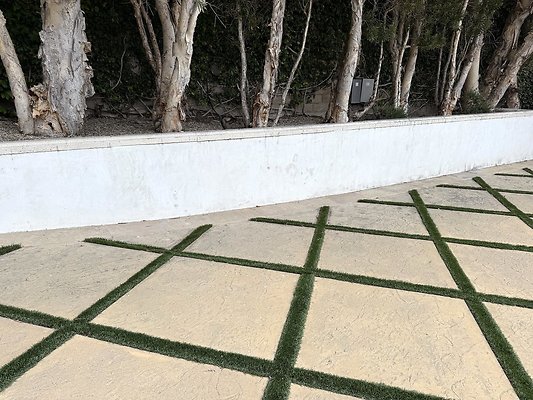 IMG 3263