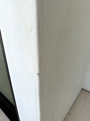 IMG 4581