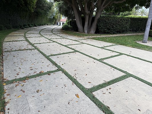 IMG 3209