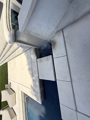IMG 4564