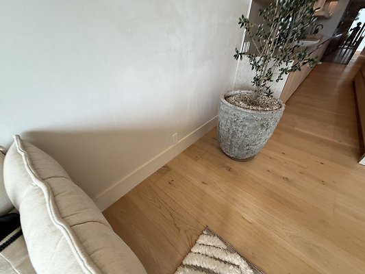 IMG 3954