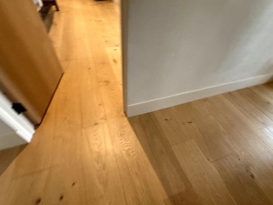 IMG 3559