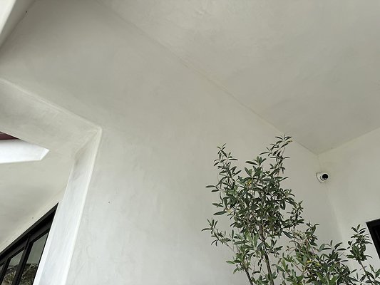 IMG 4276