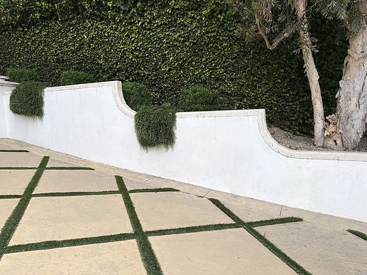 IMG 3264