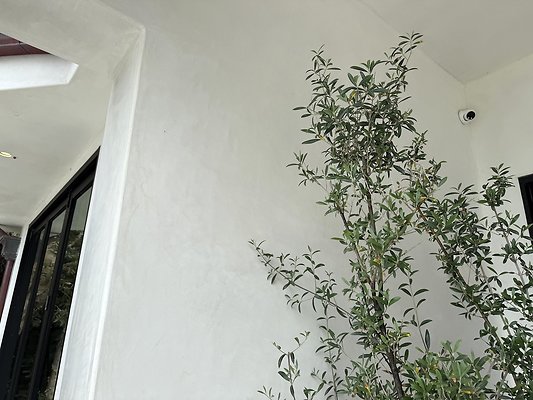IMG 4275