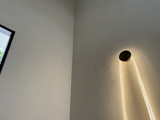 IMG 3451