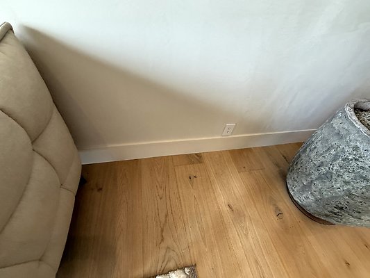 IMG 3955
