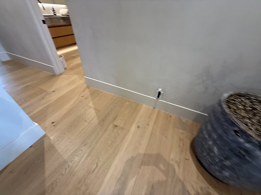 IMG 3738