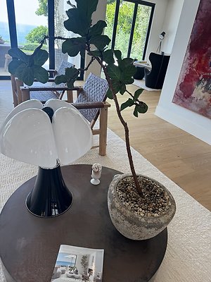 IMG 4589