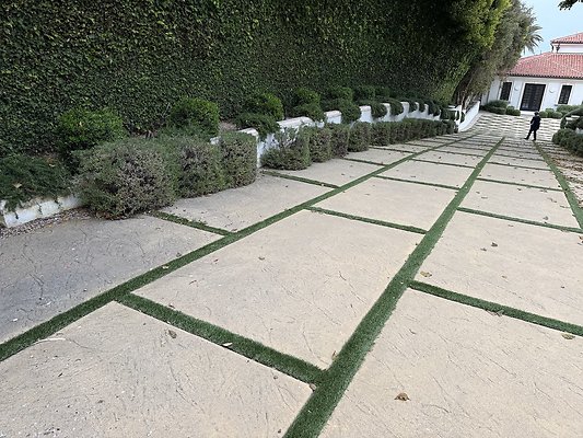 IMG 3232
