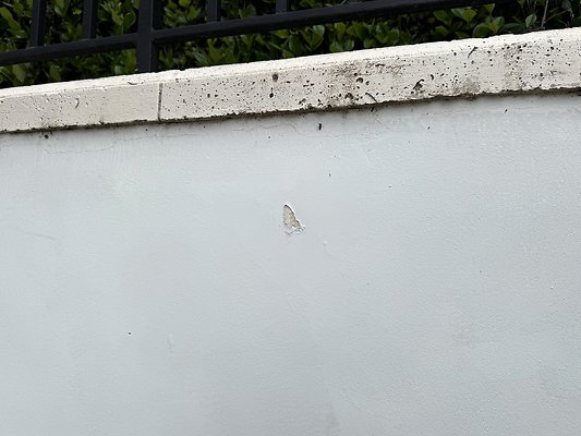 IMG 3308