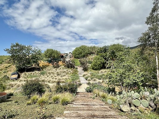 WESTSIDE LOCATIONS 243