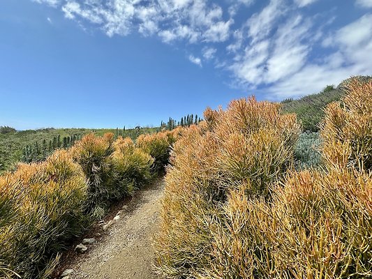 WESTSIDE LOCATIONS 253