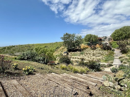 WESTSIDE LOCATIONS 242