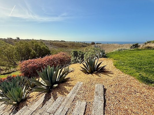 WESTSIDE LOCATIONS 109